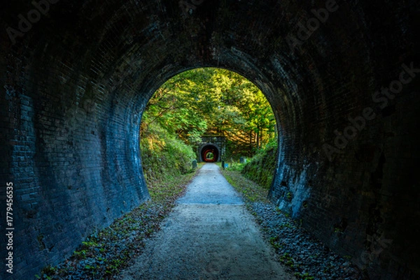 Obraz 日本　長野県　軽井沢　碓氷峠の鉄道跡　トンネル