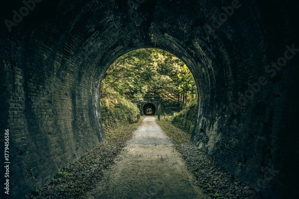 Obraz 日本　長野県　軽井沢　碓氷峠の鉄道跡　トンネル
