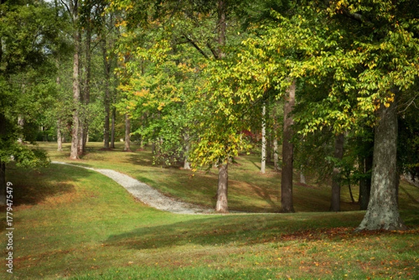 Obraz Park Path