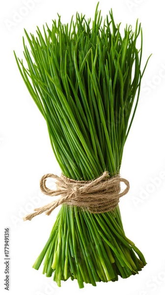 Fototapeta Fresh chives tied with twine isolated on transparent background, a flavorful herb