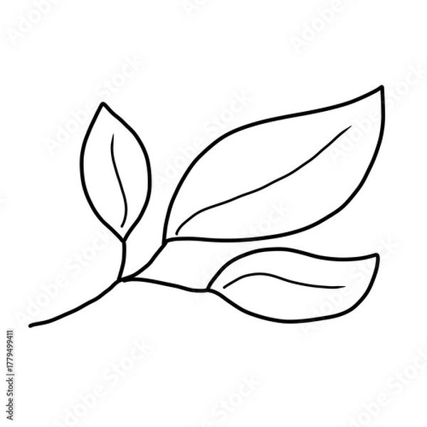 Obraz Leaf 