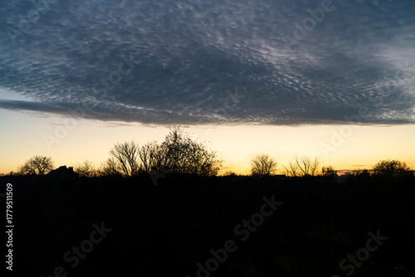 Obraz Cloudy sky above sunset horizon with silhouettes of trees. Outdoor landscape photography. Evening sky and weather concept.