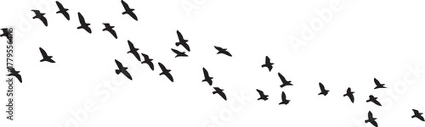 Fototapeta Flock of flying birds silhouette vector isolated on a transparent background. Freedom, nature.