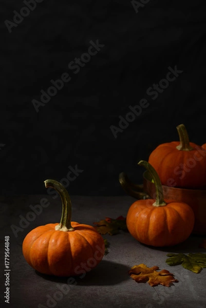 Obraz small pumpkins ready for halloween