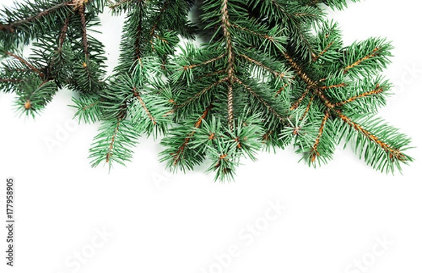 Fototapeta Background with christmas tree branches and space for text  for Christmas card, banner, flyer, wallpapers .