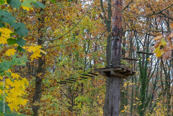 Fototapeta A wooden adventure park platform stands among trees with colorful autumn leaves. Ropes and bridges stretch between trunks in the forest canopy.