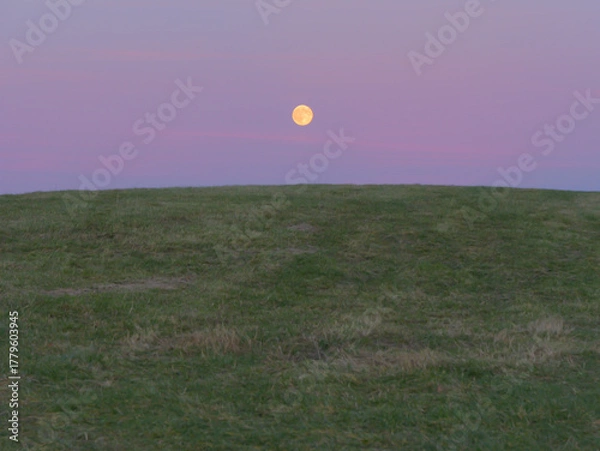 Obraz Full moon rising above grassy hill under a violet and pink twilight sky — minimalist natural landscape with serene evening mood