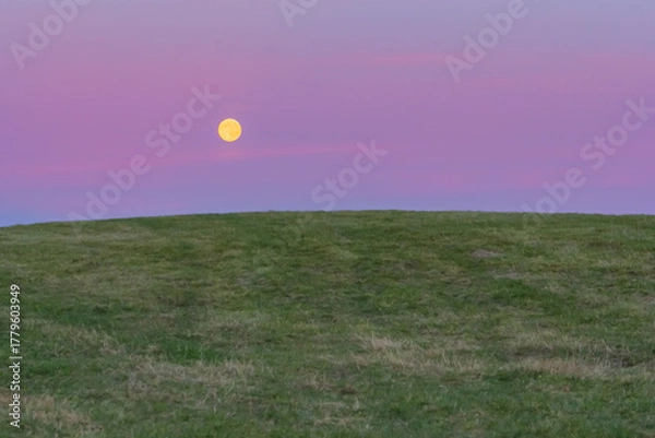Obraz Full moon rising above a green hill under a pastel violet and pink twilight sky — minimalist evening landscape with calm, dreamlike atmosphere
