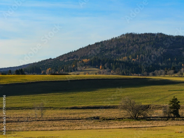 Obraz Peaceful rural landscape with green meadows and a forested hill under a clear blue sky — autumn countryside scene in soft sunlight
