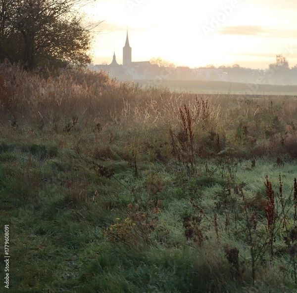 Fototapeta Awakening in the Countryside