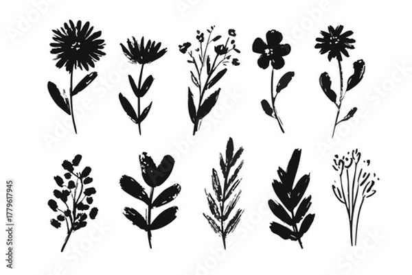 Fototapeta Hand Drawn Flower Brush Vector Set - Doodle Floral Leaf & Abstract Botanical Silhouettes