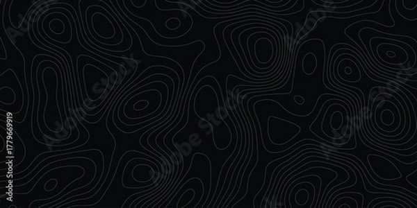 Fototapeta Abstract topographic map contour lines pattern texture background