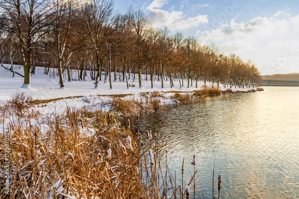 Obraz Sunny winter day  in the park.  Muchowiec, Katowice,  Silesia, Poland