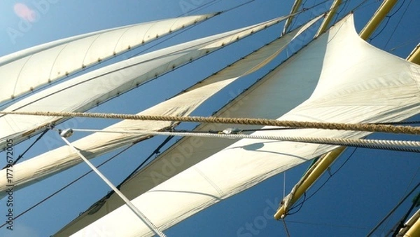 Fototapeta under the sails of a tall ship