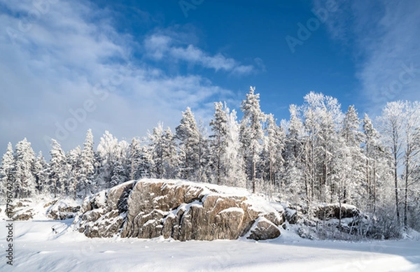 Obraz Snow-covered forest on a frosty winter day.