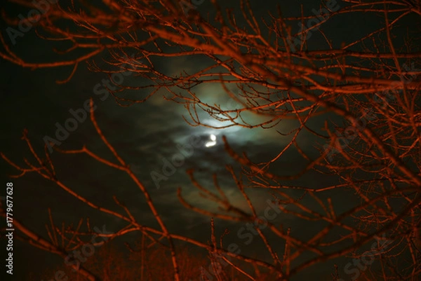 Obraz spooky halloween background