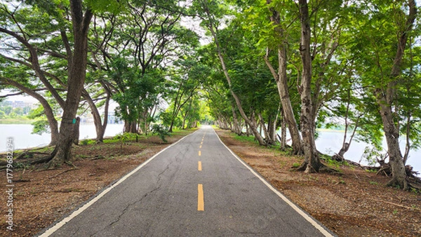 Fototapeta ​A straight, paved road is shown leading into the distance, framed by a dense canopy of vibrant green trees On both sides of the road, the trees create a natural tunnel effect