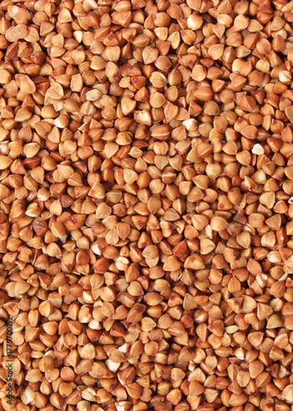 Fototapeta raw buckwheat isolated on white background close-up.. Vertical photo format