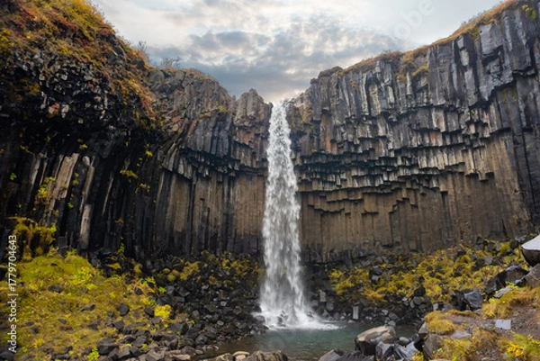 Obraz Svartifoss waterfall cascades down dramatic basalt columns in Iceland. Surrounded by vibrant autumn colors, it showcases the unique geology of the area.
