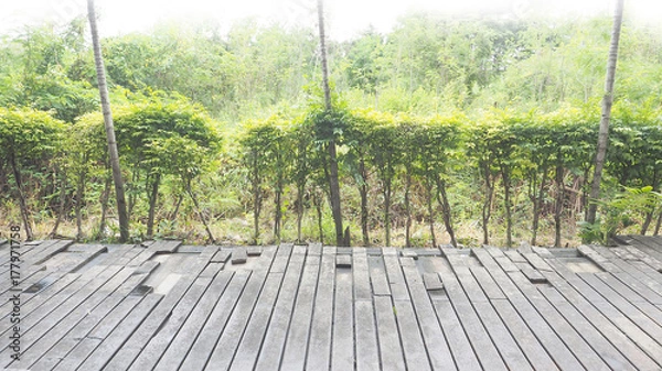 Fototapeta Background wood sheet flooring artificial fracture and green tree