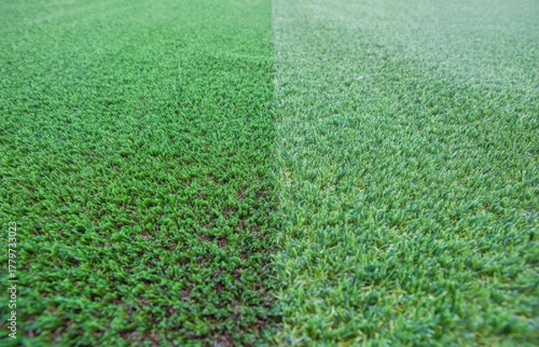 Obraz Display of two types of artificial turf with different colors and densities