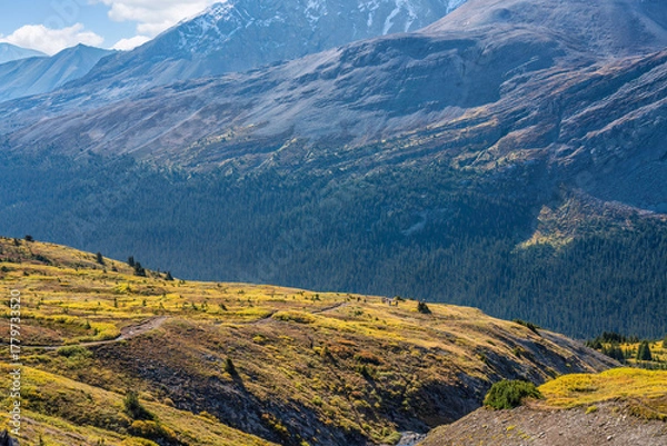 Fototapeta Wilcox Pass Trail in autumn off the Icefields Parkway in the Banff National Park
