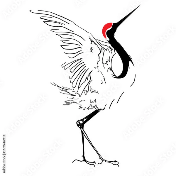 Fototapeta Red-Crowned Crane Line Art vector illustration