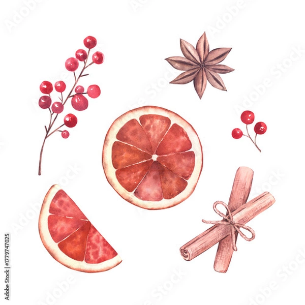 Obraz Watercolor set of a dried orange slices (whole and half), star anise, red berries and cinnamon sticks. Isolated elements on a white background. For Christmas designs, invitations, holiday crafts.