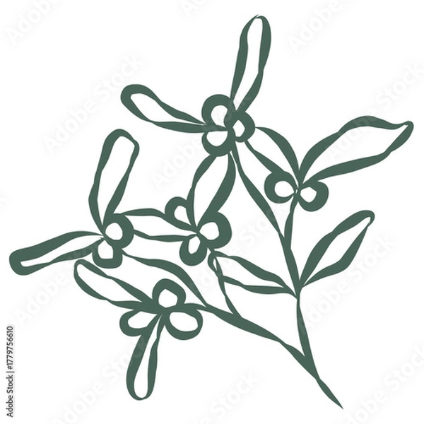 Obraz Mistletoe Branch. Line Art Illustration.