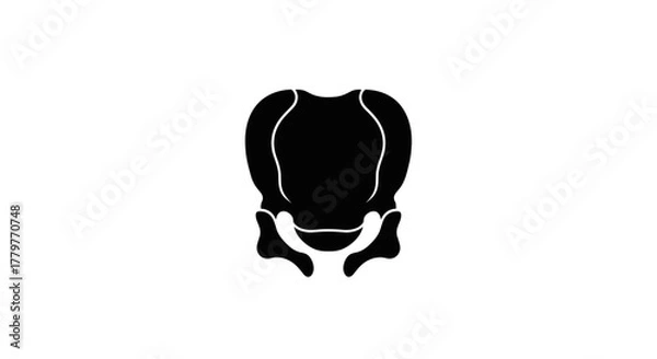 Obraz Silhouette of the human larynx a vital organ for speech and breathing.