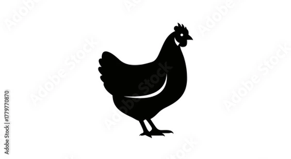 Obraz Black Silhouette of a Chicken Standing on a White Background.