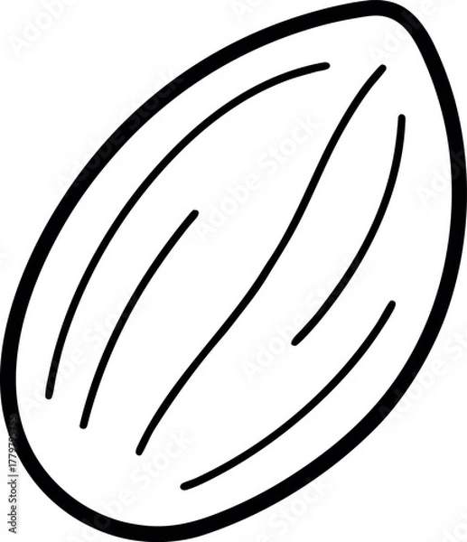 Fototapeta Minimalist Line Art of Single Almond Nut for Food and Nutrition Design