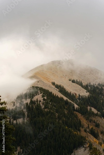 Obraz Storm clouds and mist rolling over a green mountain landscape with a forest view