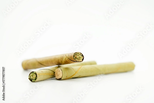 Obraz blunt cigar that has nature leaf and filled with cannabis. blunt marijuana tobacco leaf joint, marijuana blunt cigar, cannabis blunt cigarette prerolled Stick real photo white background