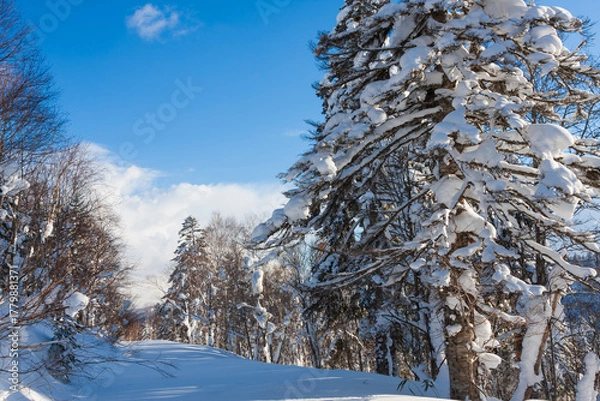 Obraz 冬のオロフレ峠