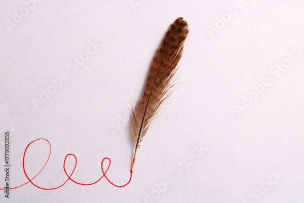 Obraz A bird's feather draws a curved line