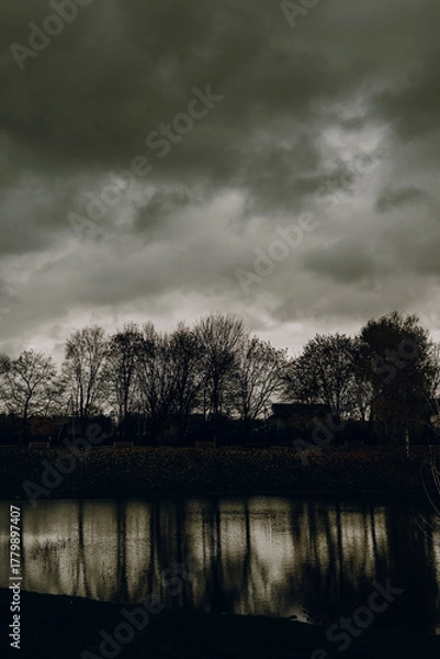 Fototapeta Dramatic dark autumn landscape with bare trees and cloudy sky reflecting in calm lake water. Moody nature background for fall season, overcast weather