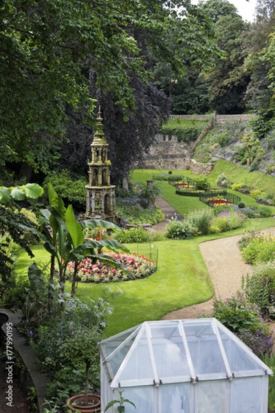 Fototapeta Plantation