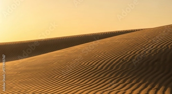 Obraz Golden Hour Desert Sand Dunes Abstract Landscape	