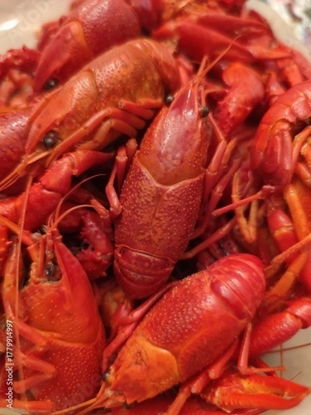 Obraz crayfish on a wooden table