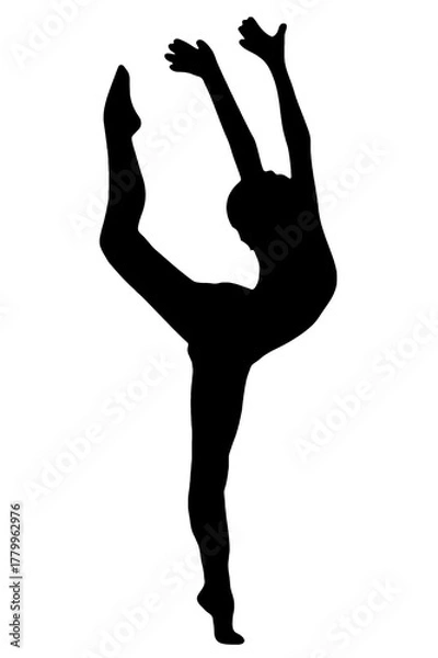 Obraz silhouette woman in yoga duo movements pilates body exercise vector image isolated on transparent white background.
