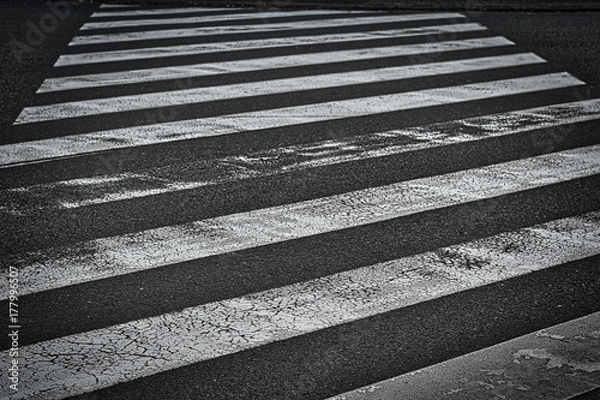 Fototapeta Zebra