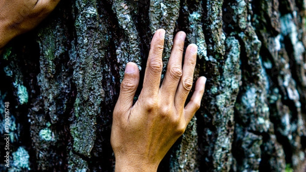 Fototapeta Hand touching tree. Bathing forest (Shinrin-yoku or mandi hutan) to reduce stress, blood pressure, improves mood and concentration.