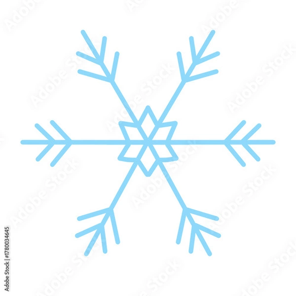 Obraz Snowflake