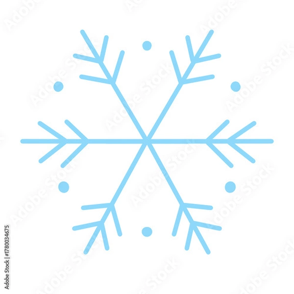 Obraz Snowflake