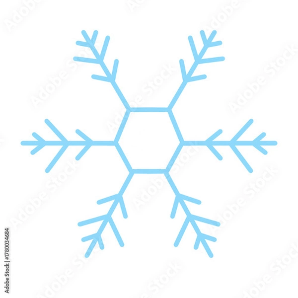 Obraz Snowflake