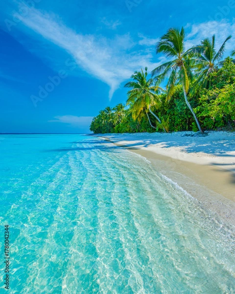 Obraz Tropical island beach landscape exotic shore coast. Tranquil closeup calm sea water waves with palm trees. Beautiful Panorama. Summer vacation, holiday amazing nature. Relax paradise, Maldives.