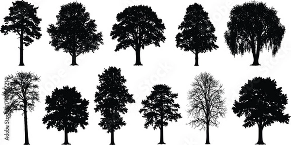 Fototapeta Collection of diverse tree silhouettes, black nature illustration set, forest landscape design elements, natural shapes for eco, art, and environment projects