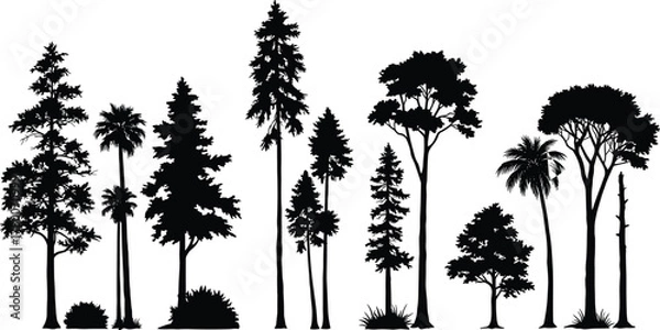 Fototapeta Collection of different tree silhouettes with tropical and forest varieties, detailed vector illustration for nature, landscape, environment, and botanical design art