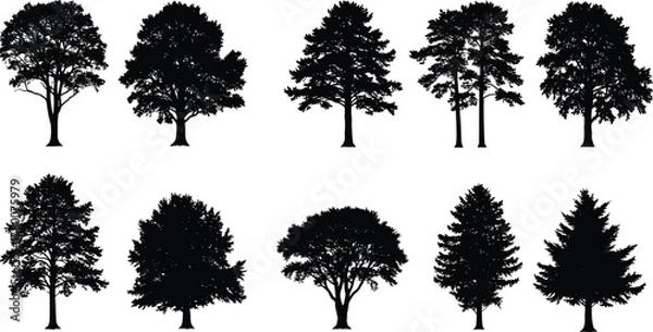 Fototapeta Collection of realistic black tree silhouettes, detailed vector illustration for nature, landscape design, forest scene, and environmental graphic artwork